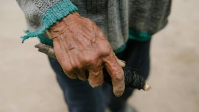 leadership in digital transformation