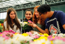 The Science Behind Flowers and Happiness