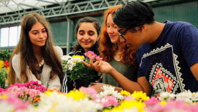 The Science Behind Flowers and Happiness