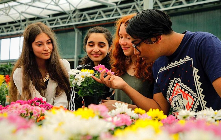 The Science Behind Flowers and Happiness